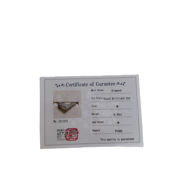 Platinum 900 V Ring - Picture 7 of 7